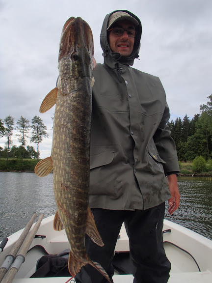 160529BavenSpikesPredaytorFishing118 (1)