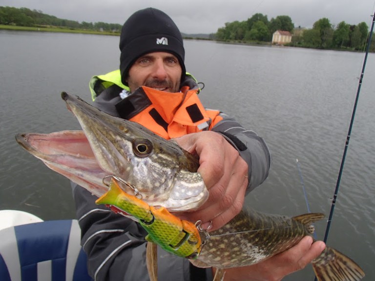 160529BavenSpikesPredaytorFishing121 (1)