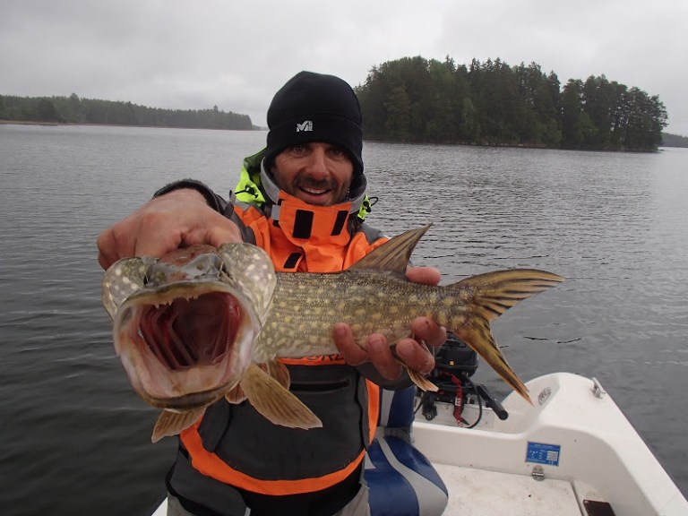 160529BavenSpikesPredaytorFishing125 (1)