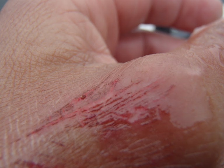 160529BavenSpikesPredaytorFishing136