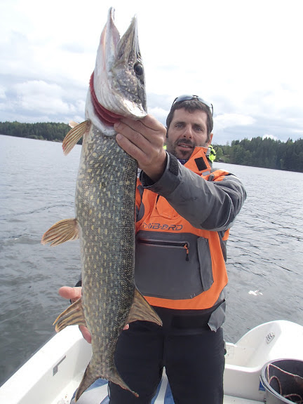 160529BavenSpikesPredaytorFishing145 (1)