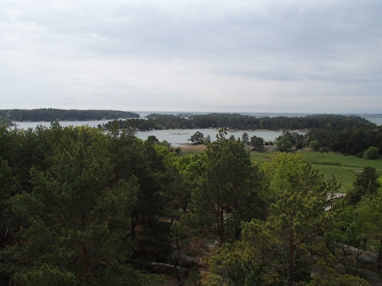 160529BavenSpikesPredaytorFishing174_1