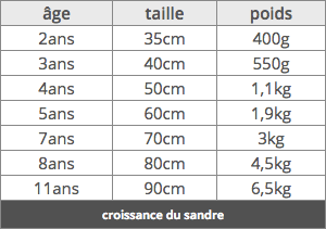 Capture d_écran 2017-08-08 à 19.36.58
